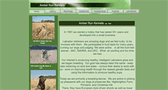 Desktop Screenshot of amberrun.com